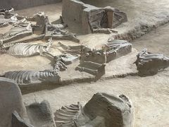 -洛阳周王城天子驾六博物馆