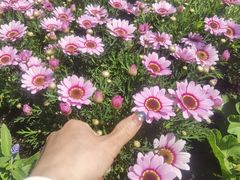 -海淀公园