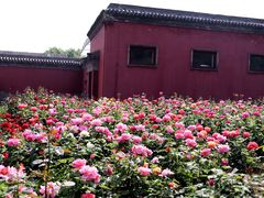 -故宫博物院(故宫)