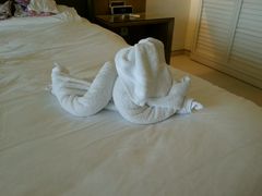 android_upload_pic-三亚海棠湾万丽度假酒店