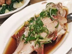 -東海薈。拉斐特(青衣城店)
