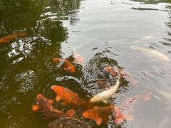 -杭州花家山庄