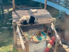 -大连森林动物园