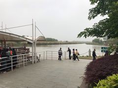 -长兴太湖图影湿地文化园