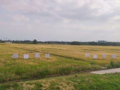 -嘉北郊野公园