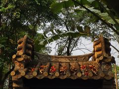 -深圳国际园林花卉博览园