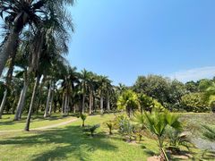 -中国科学院西双版纳热带植物园