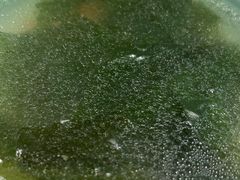 -谷田稻香·砂锅菜(南沙万达广场店)