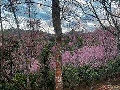 -山沟沟景区