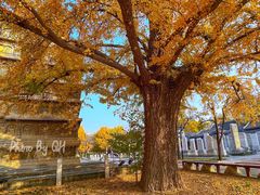 -北京石刻艺术博物馆(五塔寺)