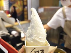-野人先生现做冰淇淋(西安赛格店)