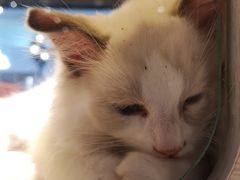 -乐宠宠物店(世纪金源店)