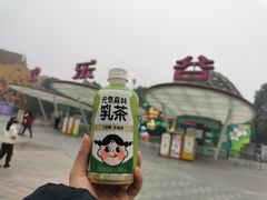 -成都华侨城欢乐里