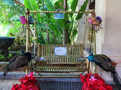 -西双版纳融创皇冠假日度假酒店