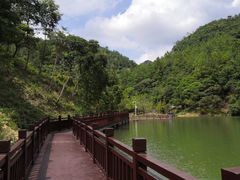 -广州白江湖森林公园