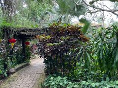 -海南热带野生动植物园