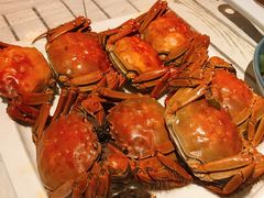 盘锦河蟹-小时候2013(瀚新店)