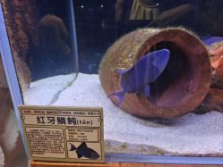 -Zoolung Zoolung动物主题公园(海信广场店)