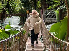 -呀路古热带植物园