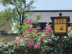 -诗经里