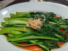 -南堂馆·新川菜(春熙路店)