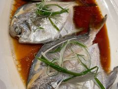 -闽海肴(北辰荟店)