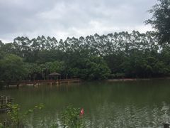 -揭东万竹园旅游景区