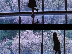 -广州越秀国际会议中心