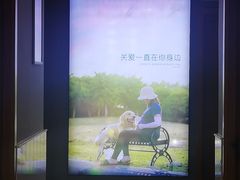 -关爱宠物医院·猫科中心·消化科(滨湖万达分院)