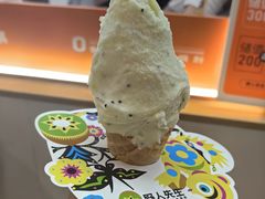 -野人先生现做冰淇淋(北京环宇荟店)
