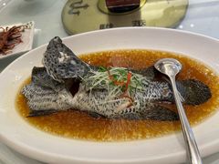 -骏莱海鲜鱼港(五角场店)