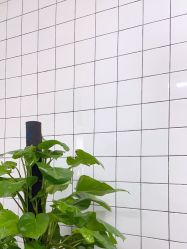 -P.STYLE派斯造型