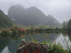-靖西鹅泉风景区