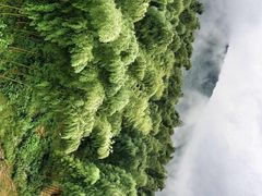 -雅达·阳羡溪山小镇中心