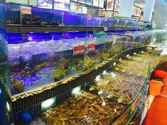 -欢乐海岸美食联盟