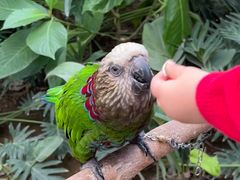 -南宫五洲植物乐园