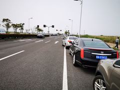 -春花秋色城市公园