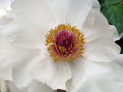 -汉拿山(魏公村店)