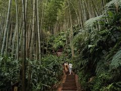 -蜀南竹海景区