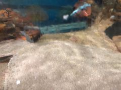 -鑫渔港海鲜本地菜·山海关浑锅(东戴河店)