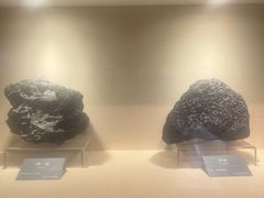 -安徽省地质博物馆