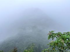 -娄山关景区-大尖山战斗遗址