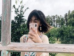 -柑橘农场