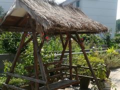 -寒岩夕照农家乐