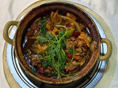 渝君鸡煲-渝君重庆火锅(嘉宾路店)
