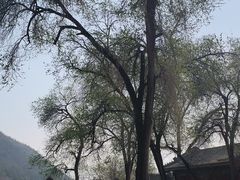 -潭柘寺景区