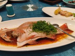 -圆苑(静安寺店)