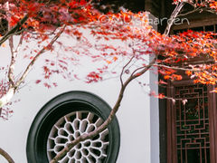 -虎跑公园