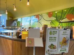 -油梨树AVOCADO TREE(望京店)