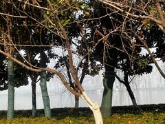 -云龙湖旅游景区